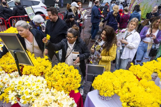 events-daffodil-day