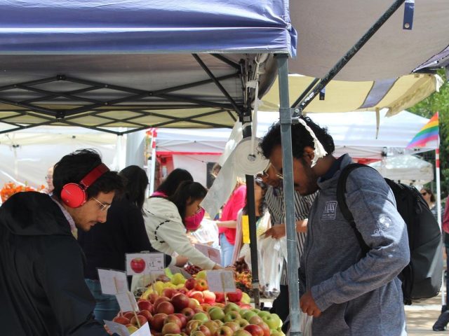 Shoppers browse at the farmers market