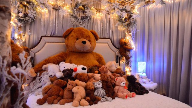 events-teddy-bear-suite