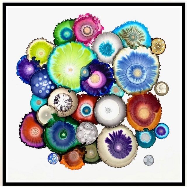 events-sam-gallery-invitation-to-collect