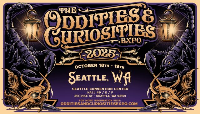 events-oddities-2025
