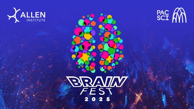 events-brainfest (2)
