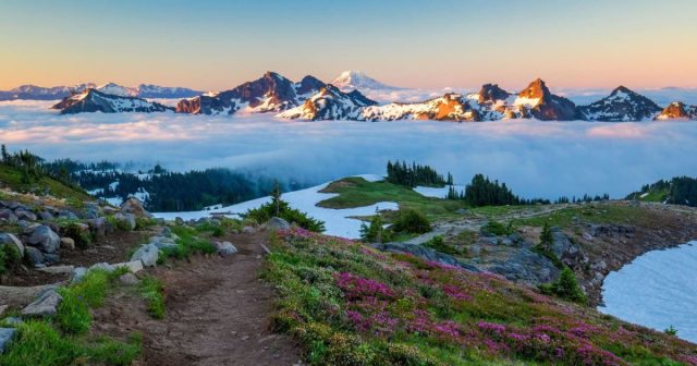 events-crescendo-symphony-2025