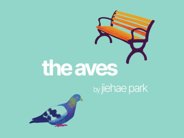 events-act-aves The Aves at Union Arts Center