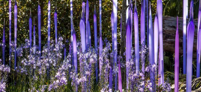 events-chihuly-watercolor