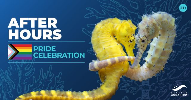 events-aquarium-after-hours-pride