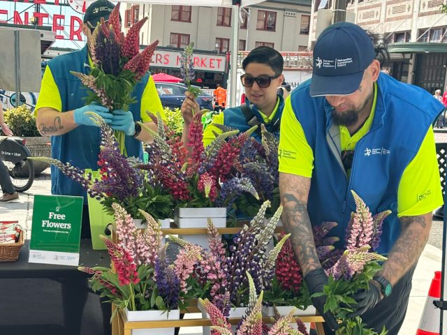 events-first-pike-flowers