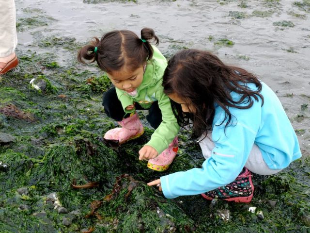 events-sea-you-at-the-waterfront