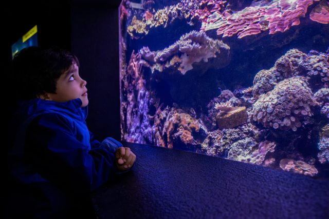 events-sea-aquarium-hispanic-heritage-month
