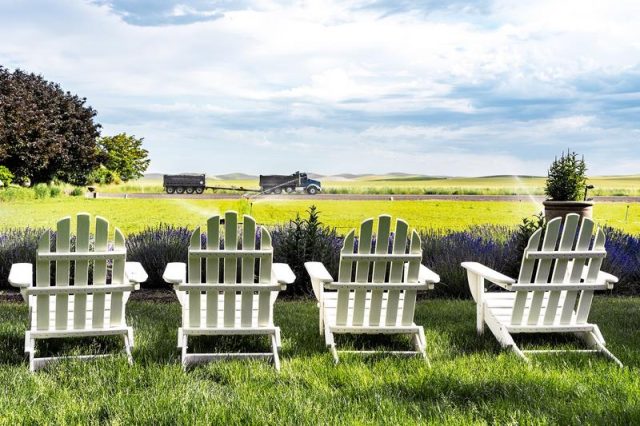 events-sam-gallery-depth-of-field SAM Gallery Presents: Depth of Field