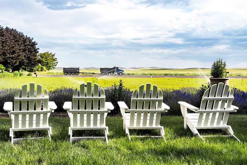 SAM Gallery Presents: Depth of Field